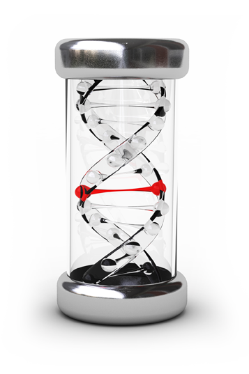 dna-hourglass-about